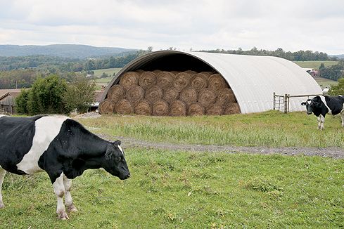 Dairy barn hay storage